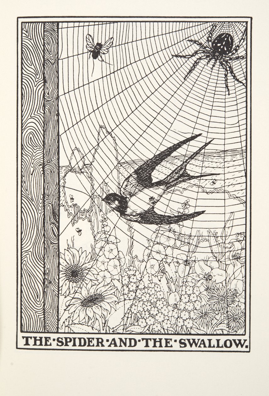 スパイダーとツバメ、フォンテーヌ寓話、パブから。 1905 作： パーシー・J・ビリングスハースト