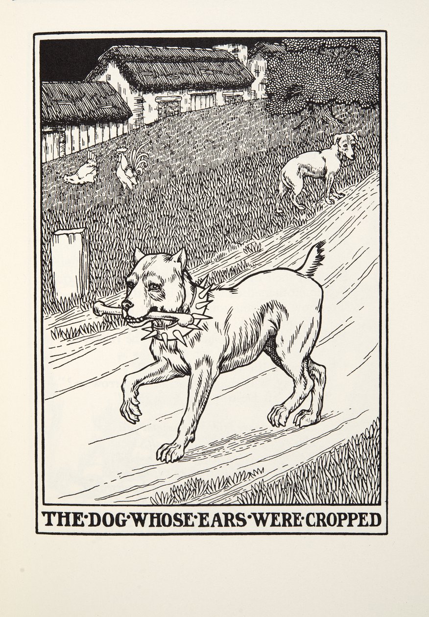 フォンテーヌ寓話、パブから耳がトリミングされたThr犬。 1905 作： パーシー・J・ビリングスハースト