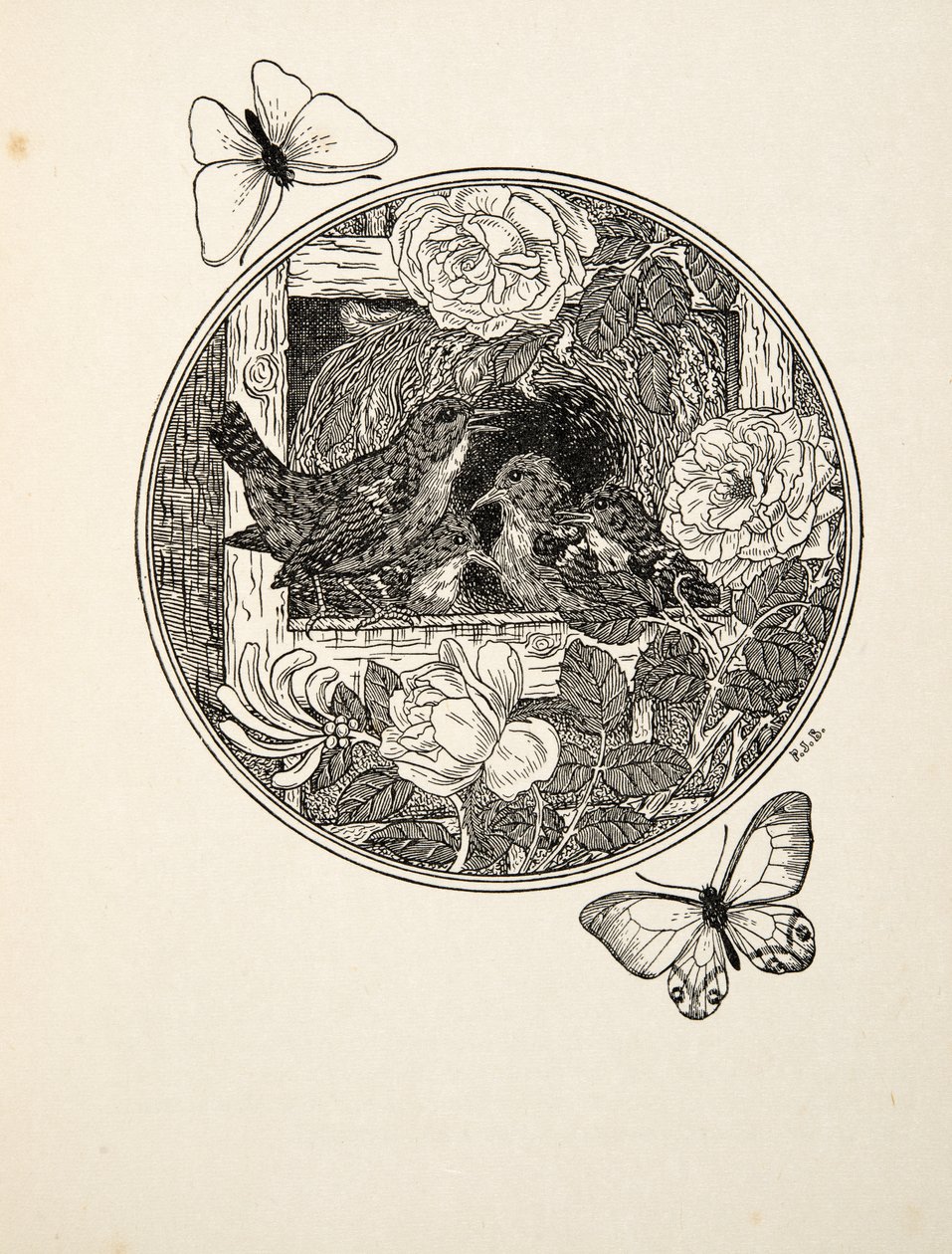 Wrens Learning to Sing、from A Hundred Anecdotes of Animals、pub。 1924 作： パーシー・J・ビリングスハースト