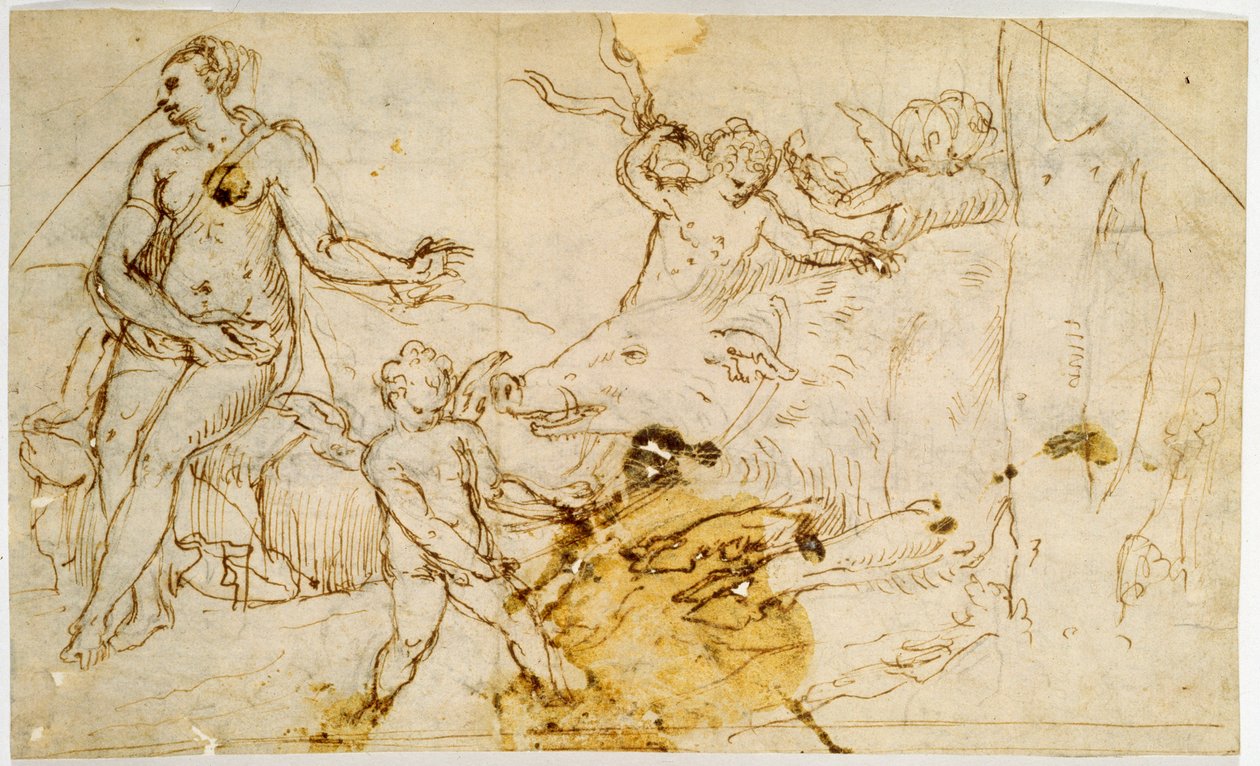 金星、プッティと野生のイノシシ、c.1520-1540 作： ペリーノデルヴァガ