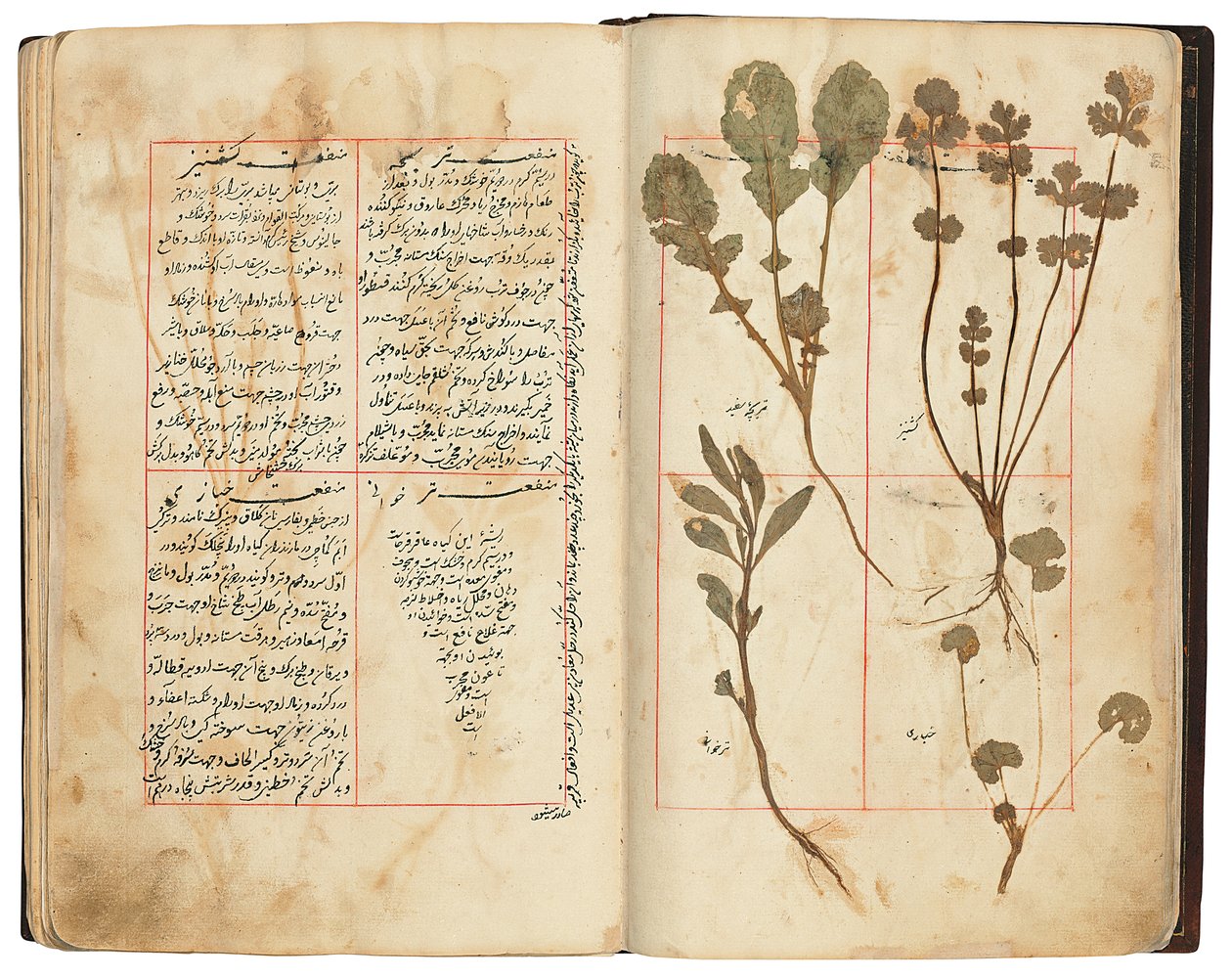 Hassan Bin Baqir Bin Jarrah：Gulzar Al-Rayahin、Qajar Iran 作： ペルシャ語学校