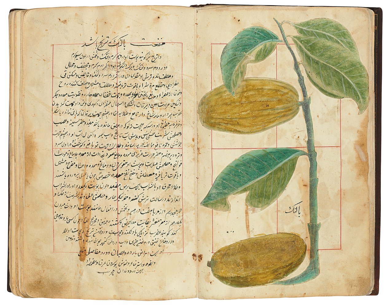 Hassan Bin Baqir Bin Jarrah：Gulzar Al-Rayahin、Qajar Iran 作： ペルシャ語学校