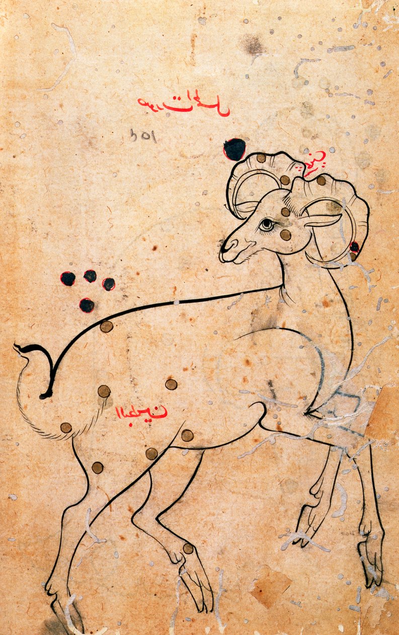 f.154a牡羊座、ラム、ペルシャ語、イスファハンまたはシラーズ出身、1600年頃（紙にインク） 作： ペルシャ語学校