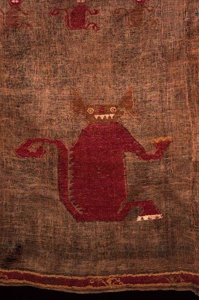 シュラウドの詳細、1400年代（カラーウールで織られた綿とビキューナの織り） 作： ペルーの学校