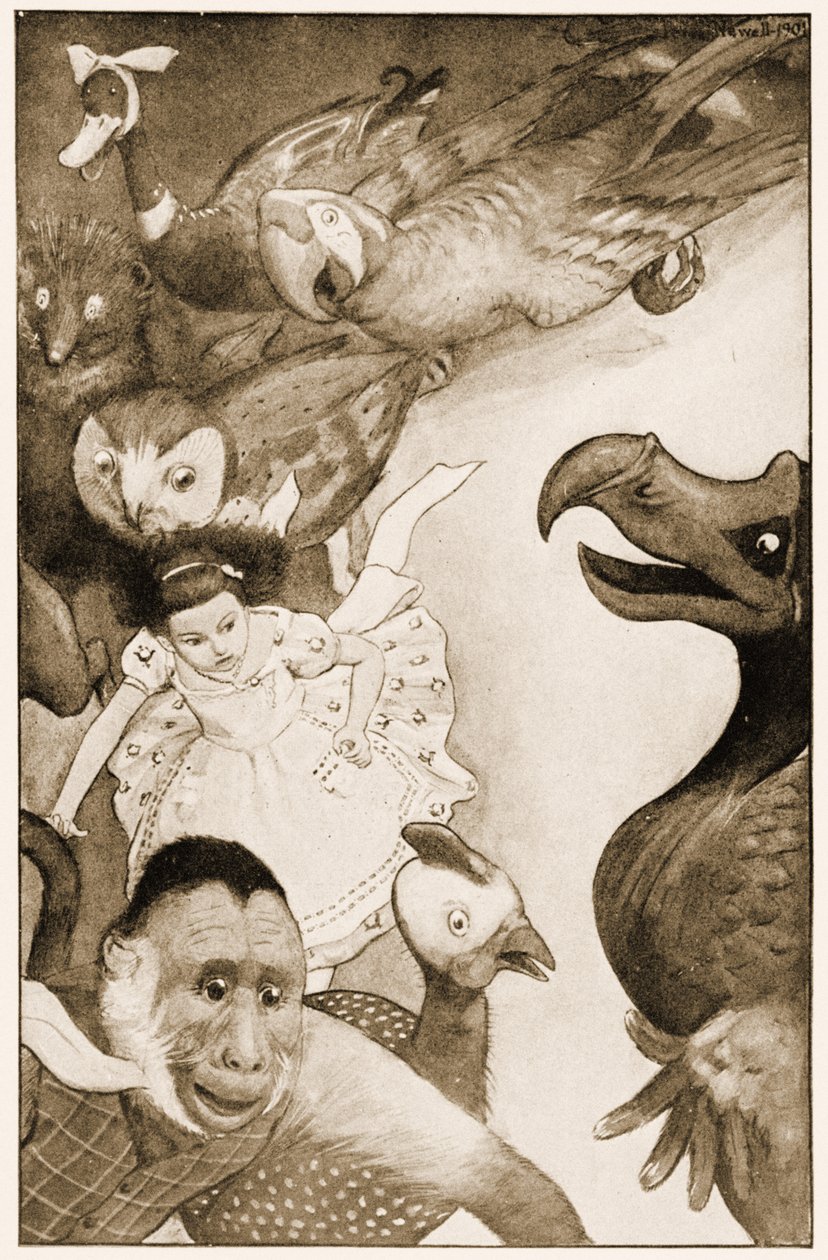 「The Caucus-Race」、ルイス・キャロルの「アリス」の不思議の国の冒険のイラスト、1901 作： ピーター・ニューウェル