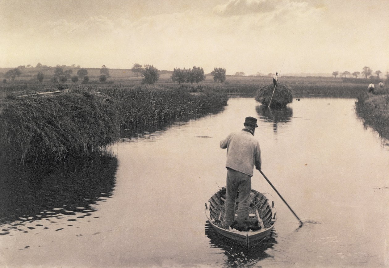 ノーフォークブロードの湿地干し草、生命と景観の四分の一、1886年頃 作： ピーター・エマーソンとトーマス・グドール