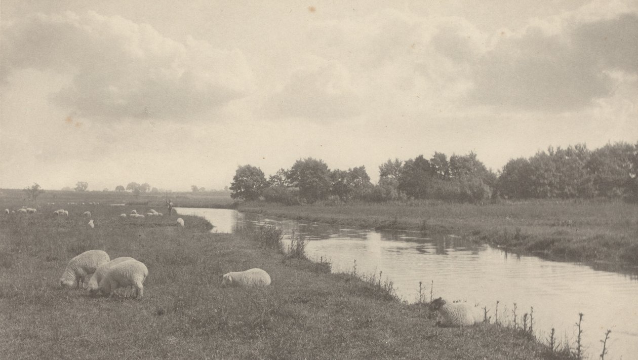 ブレ川にて、1886年（写真） 作： ピーター・ヘンリー・エマーソン