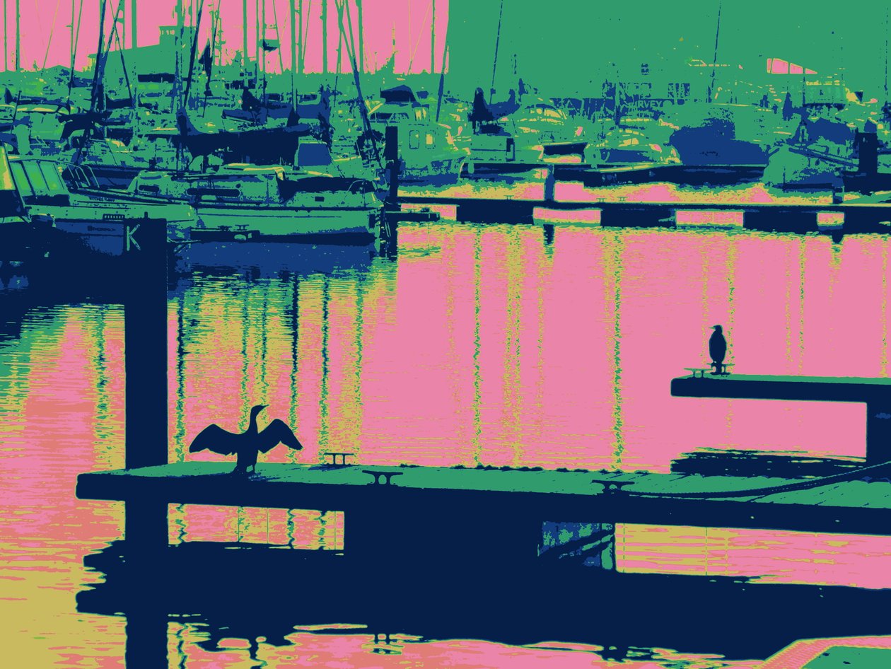 COURT-SHIP HARTLEPOOL、2014、（デジタル処理された写真） 作： ピーターマクルーア