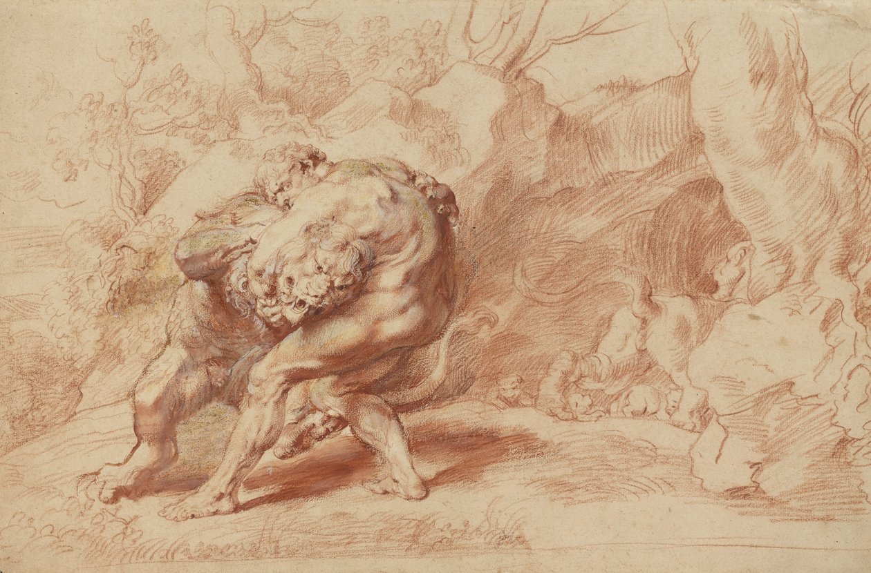 ネメアのライオンを絞め殺すヘラクレス 1620年頃 （紙に赤、黄、黒のチョーク、筆、朱墨、ガッシュ） 作： ピーター・ポール・ルーベンス