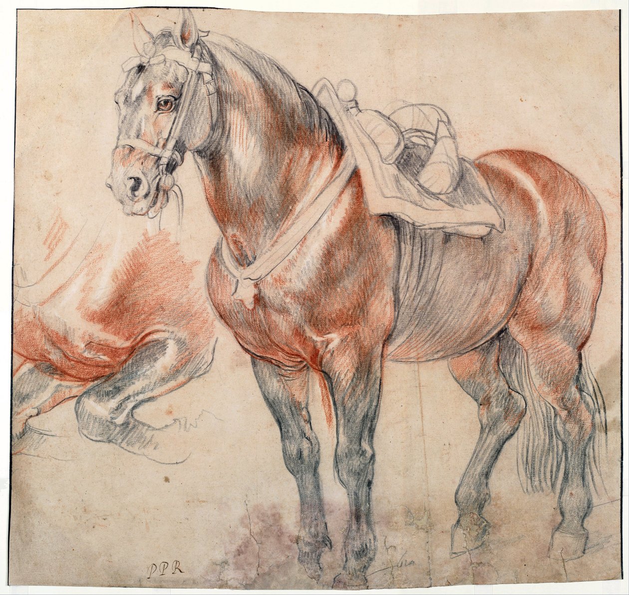 「ピーテル・パウル・ルーベンス（1577-1640）のアクアレル（1616-1618年） Vienne Bibliotheque albertina 作： ピーター・ポール・ルーベンス