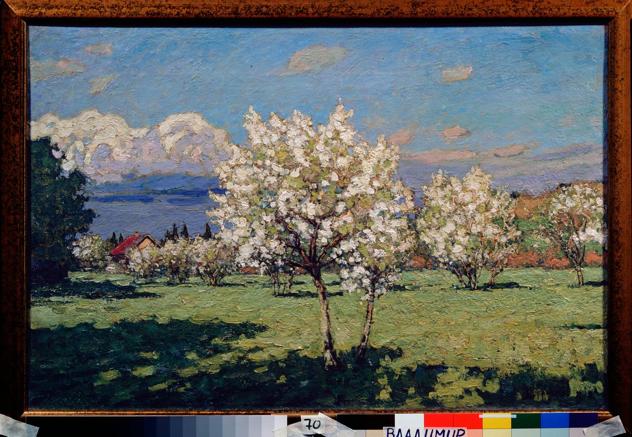 桜。 Pyotr Ivanovich Petrovichev（Pyotr Petrovichev）（1874-1947）による絵画、キャンバスに油彩 作： Petr Ivanovic Petrovichev