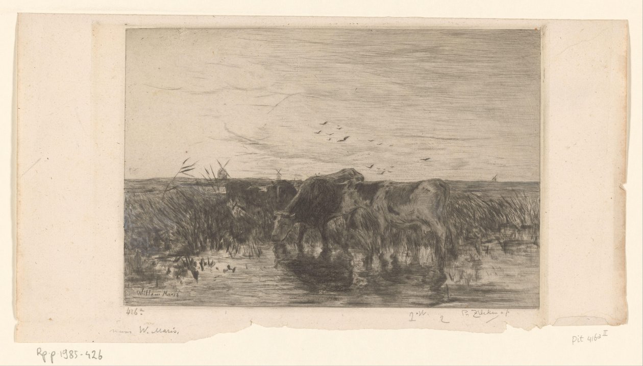 牧草地の水の近くの牛 Vaches au bord de l