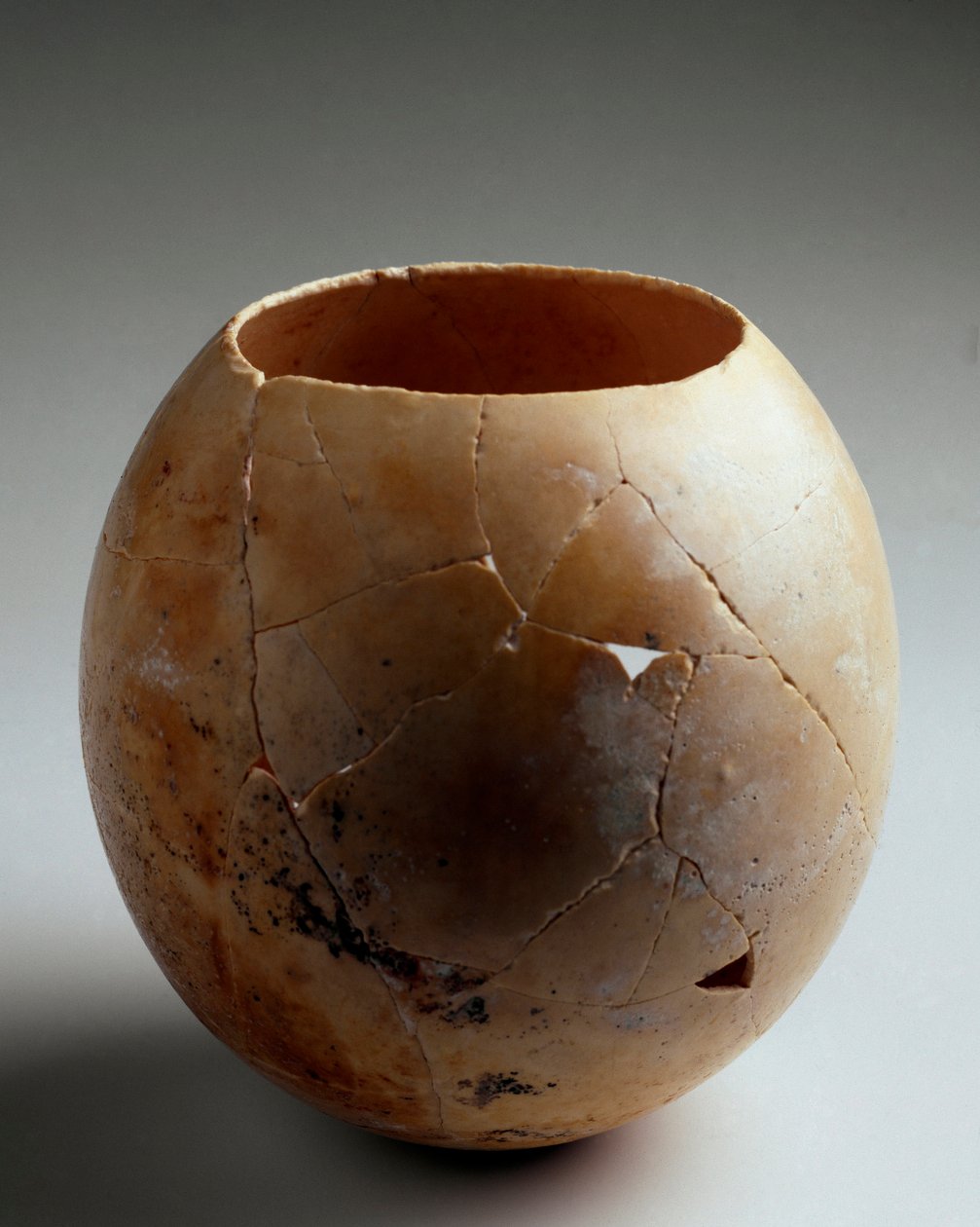 フェニキア・アート：空のダチョウの卵。ラウリタ（アルムネカール）から。紀元前7世紀。薄暗い。13.2 cm グラナダ、アルケオロジコ美術館 作： フェニキア人