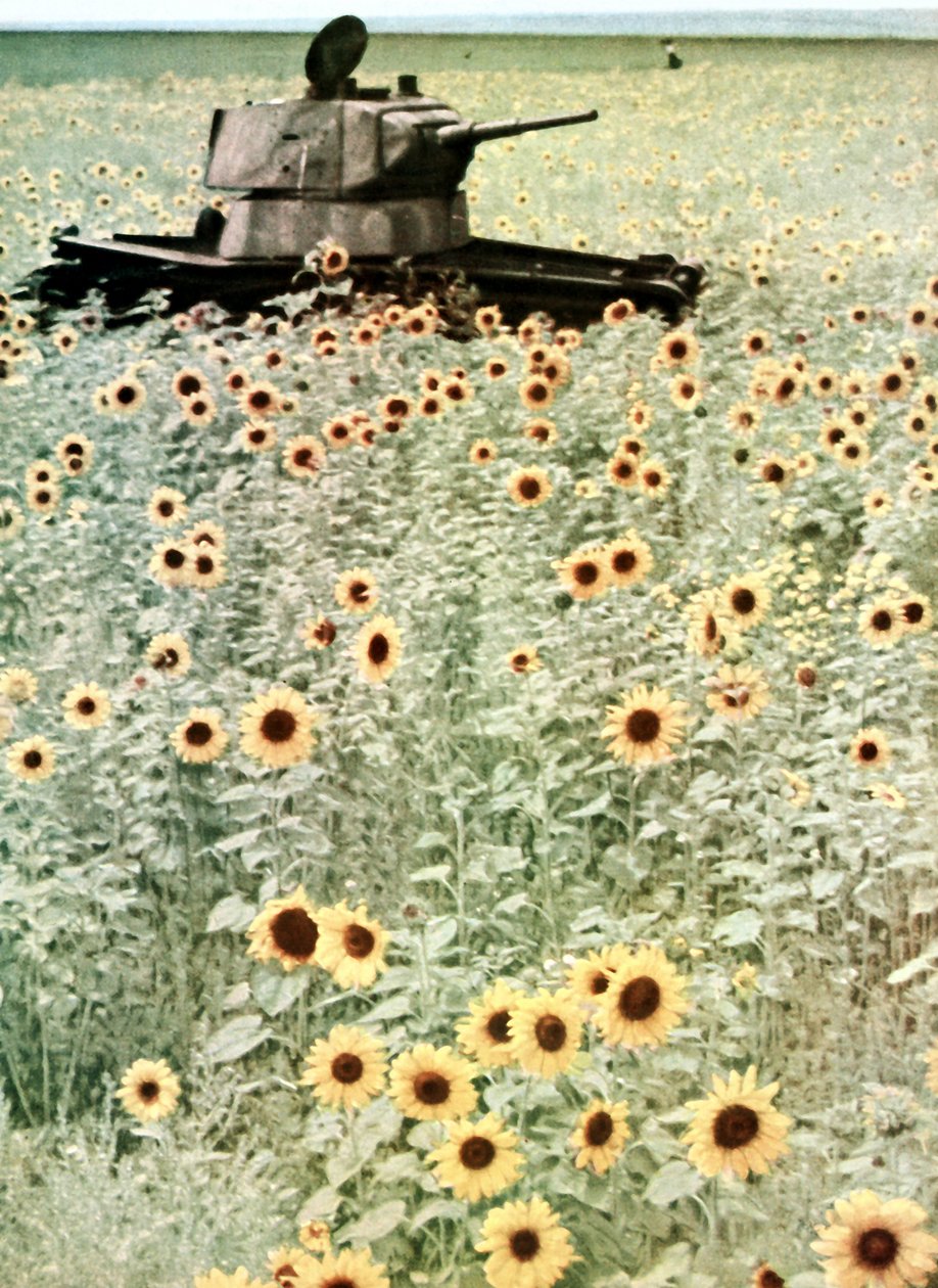 バルバロッサ作戦 作： 写真家ドイツ語
