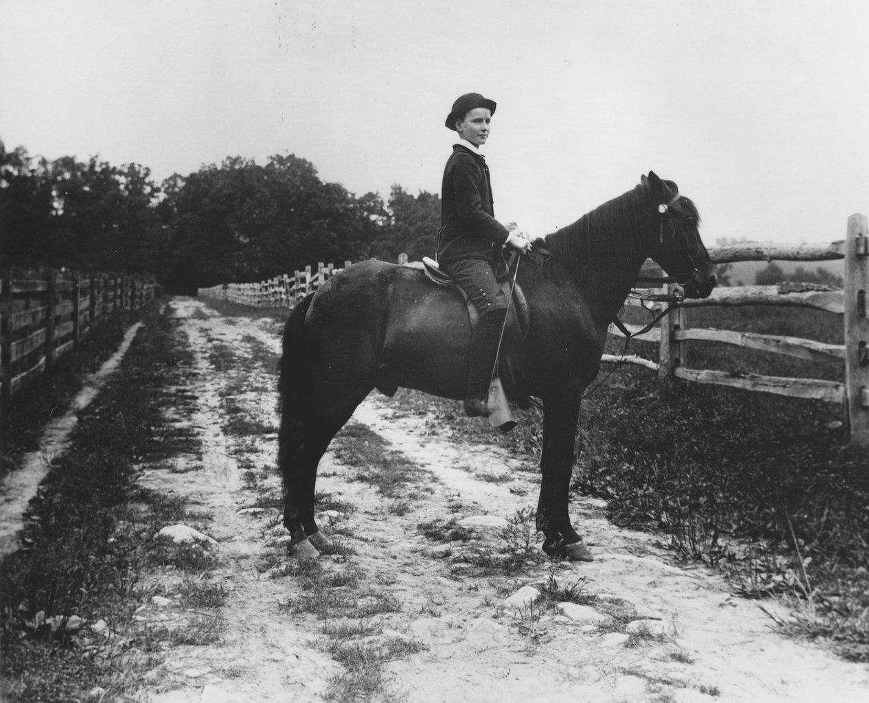 ユージーン・デュポン氏の馬に乗った少年 作： ピエール・A・ゲンティウ