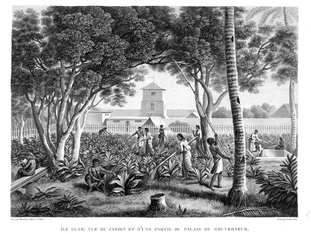 グアム島：知事の宮殿の庭で働いている先住民、「航海Autour du Monde（1817-20）」、Louis Claude Desaulses de Freycinet（1779-1842）、Schroederにより彫刻、182年発行 作： ピエール・アントワーヌ・マルシェ