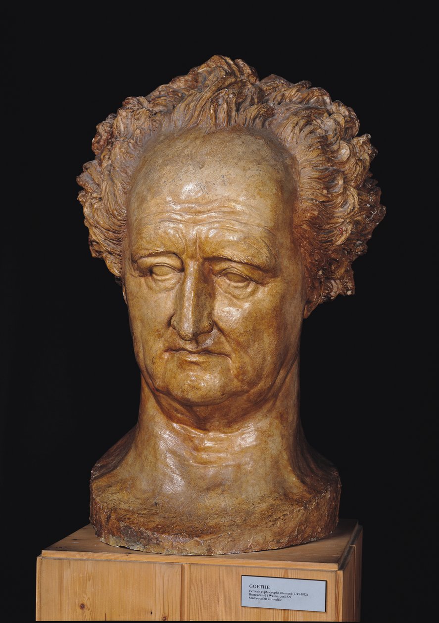 ヨハンヴォルフガングフォンゲーテの胸像（1749-1832）、1831年（石膏） 作： ピエール・ジャン・デイヴィッド・ダンジェ