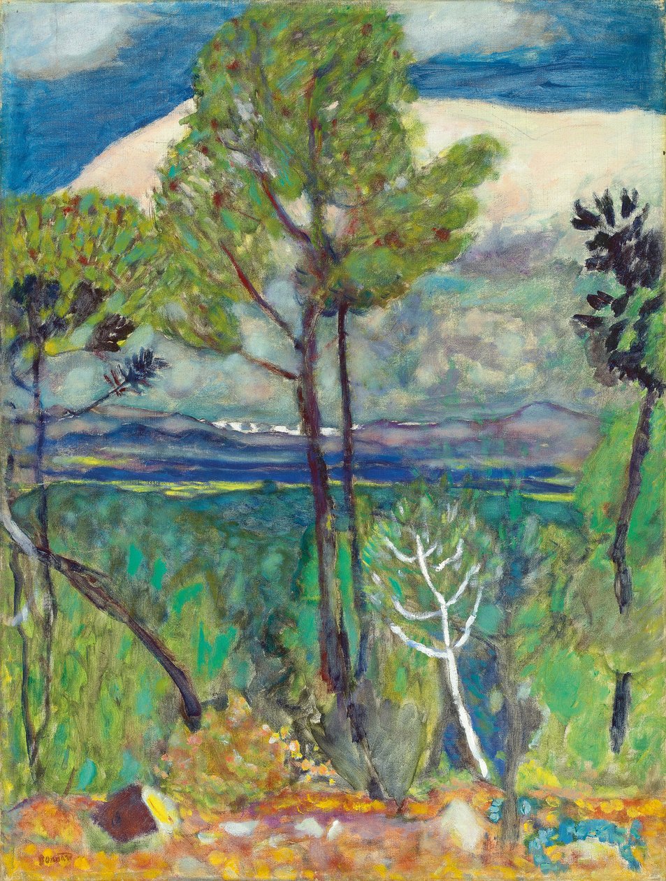松、海沿い、1923年頃（帆布に油彩） 作： ピエール・ボナール