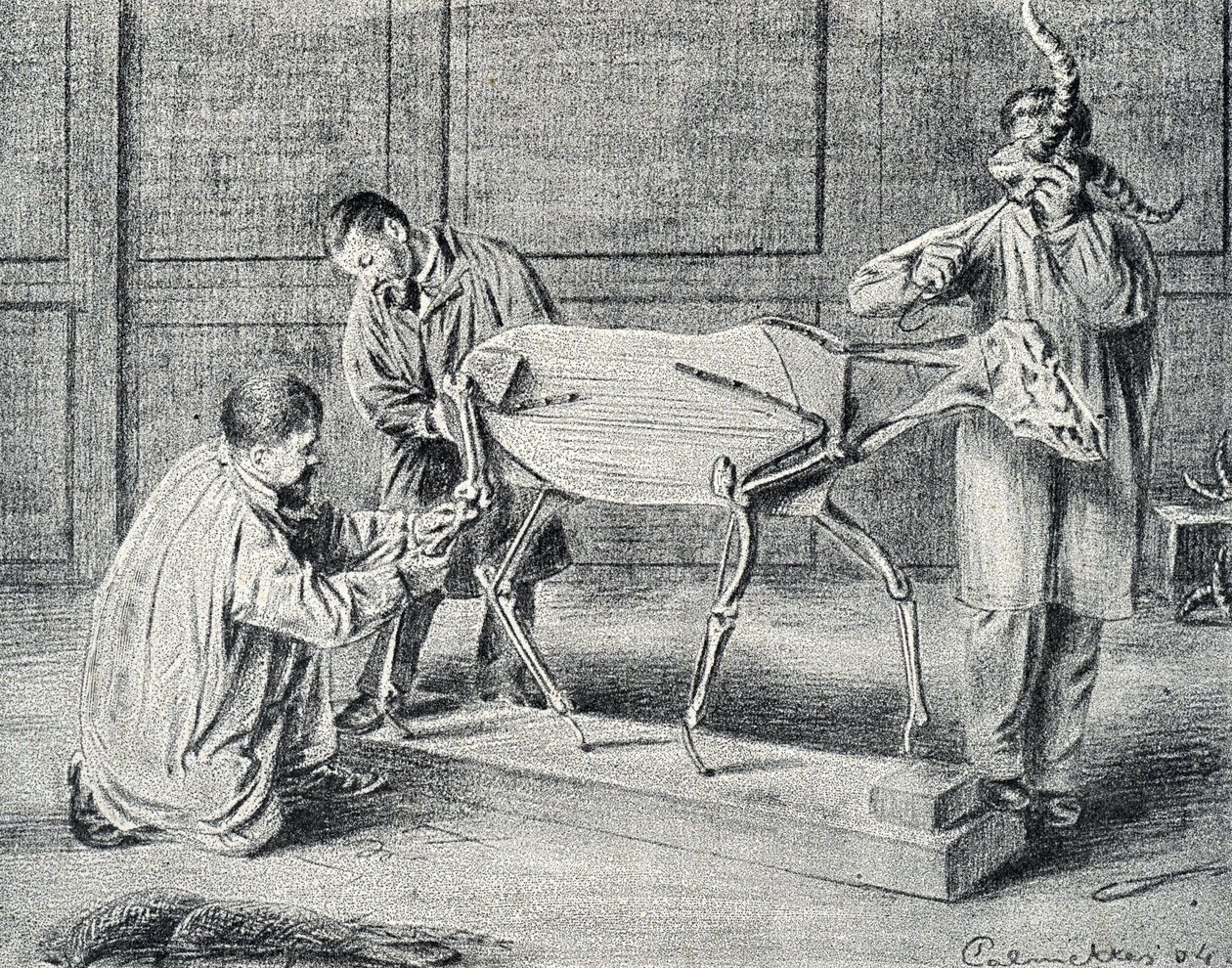 Taxidermia: taxidermistas preparando o esqueleto artificial na oficina Gravura de “Excursion a travers les metiers” de Pierre Calmette Collection privee 作： ピエール・カルメッツ
