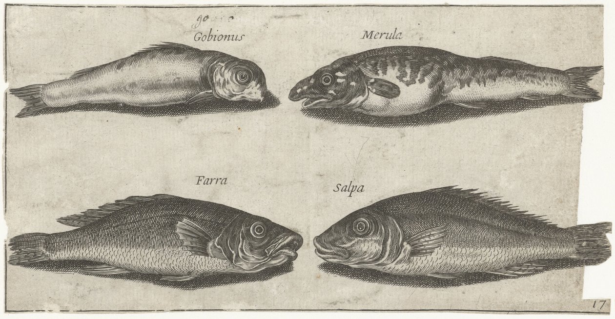 ハゼ、ハゼ、ホワイティング、その他の魚 釣り（連載タイトル） Piscivm vivae アイコン (シリーズ タイトル) 作： ピエール・ファイアンス