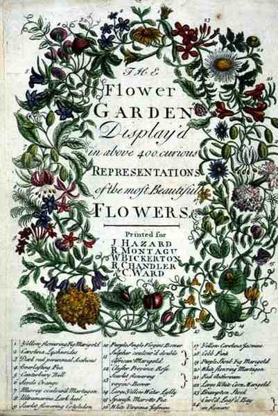 ロバート・ファーバー（c.1674-1756）の「The Flower Garden Displayed」の表紙、ジェームズ・スミスのエングレーヴィング、パブ。1732年（彩色された彫刻）。 作： Pieter（後）Casteels