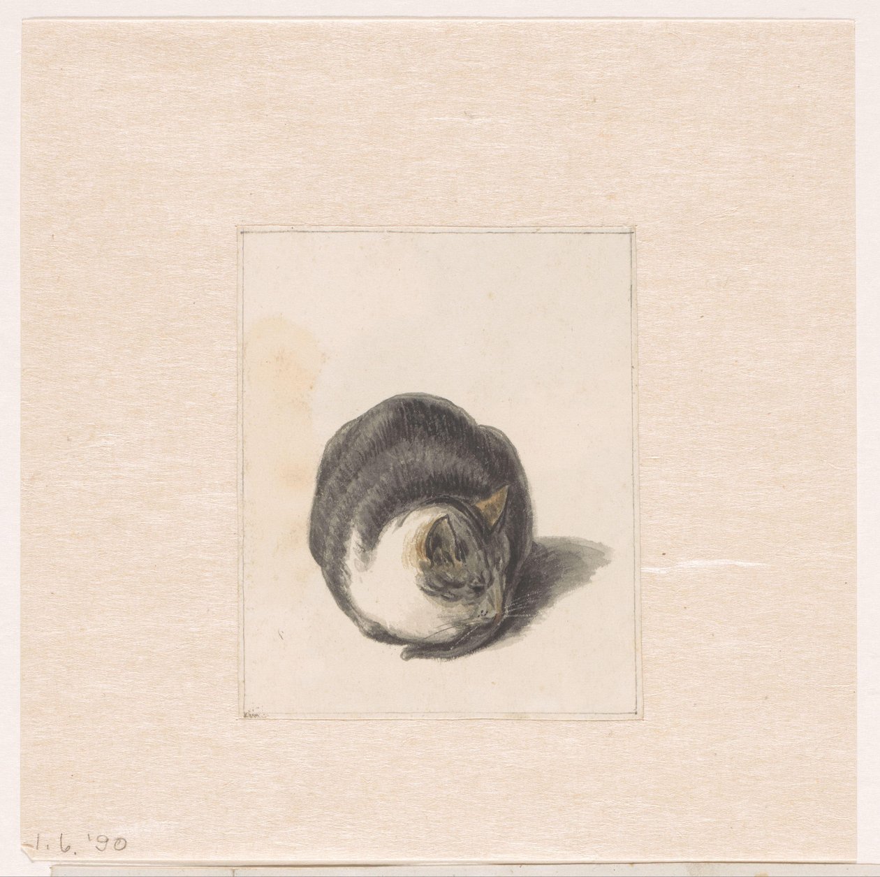 正面から見た座り猫 作： Pieter Bartholomeusz床屋