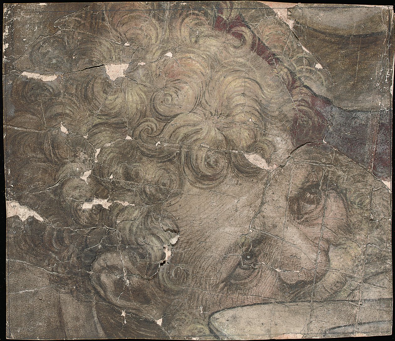 上向きに見てひげを生やした男の頭 作： Pieter Coecke van Aelst