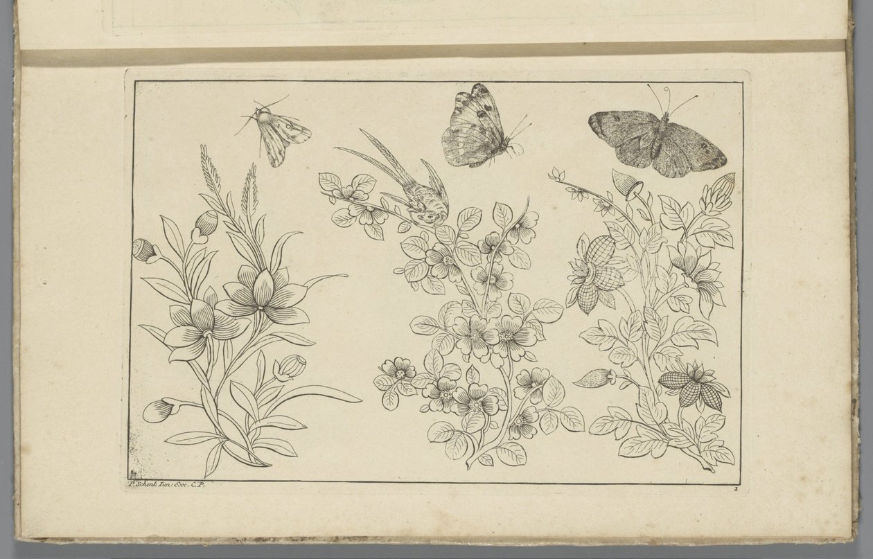3 つの花の枝と 3 つの蝶 中国の花と昆虫（連載タイトル） 作： ピーター・シェンク（II）