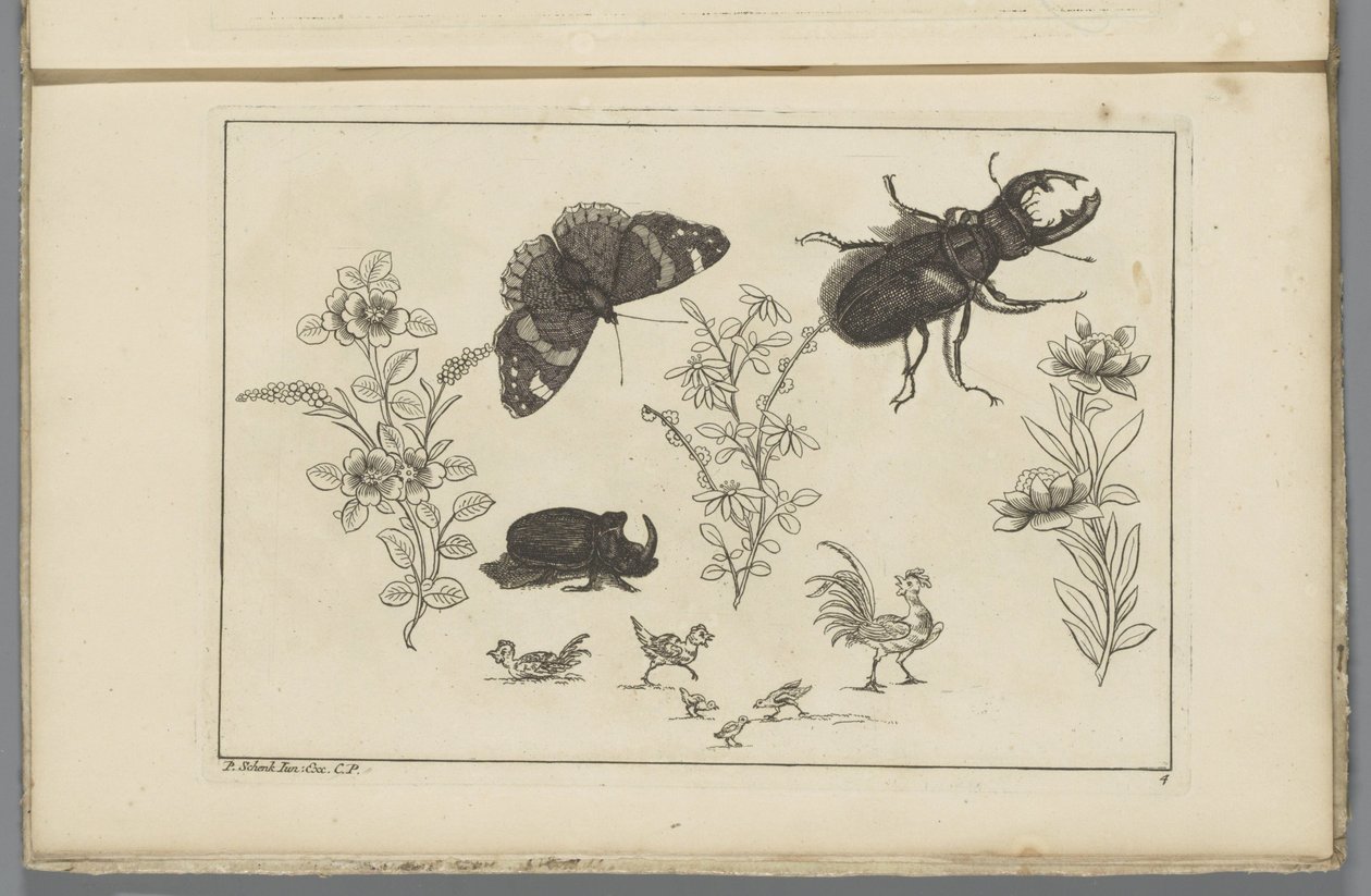 カブトムシ、蝶、カブトムシと 3 つの花の枝 中国の花と昆虫（連載タイトル） 作： ピーター・シェンク（II）