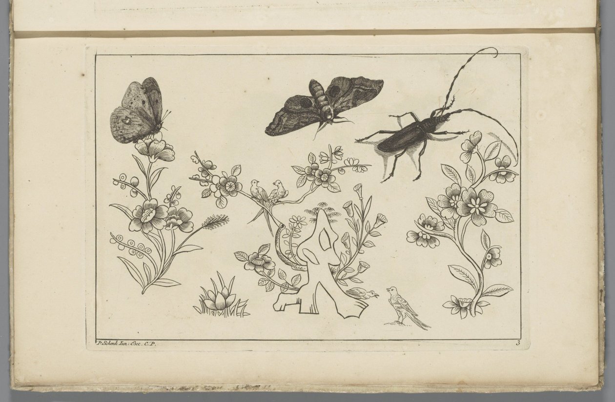 鳥、蝶、昆虫と 3 つの花の枝 中国の花と昆虫（連載タイトル） 作： ピーター・シェンク（II）