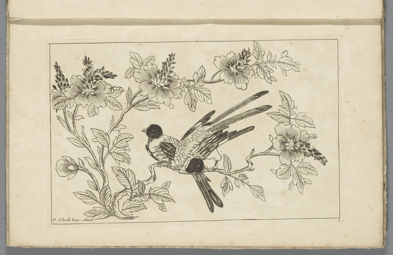 花の枝に 2 羽の鳥 中国の花鳥（連載タイトル） 作： ピーター・シェンク（II）