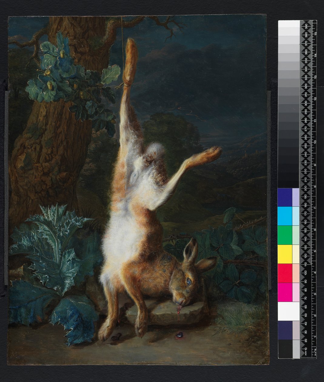 1782年以前の死んだノウサギ 作： ピーター・スニアーズ