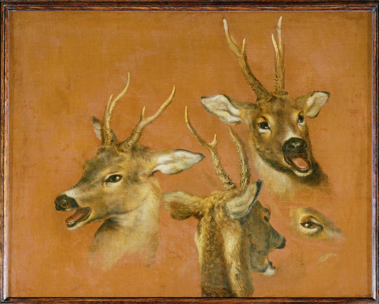 ローバックの頭部習作（キャンバスに描かれた絵画） 作： ピーターまたはピーター・ボエル