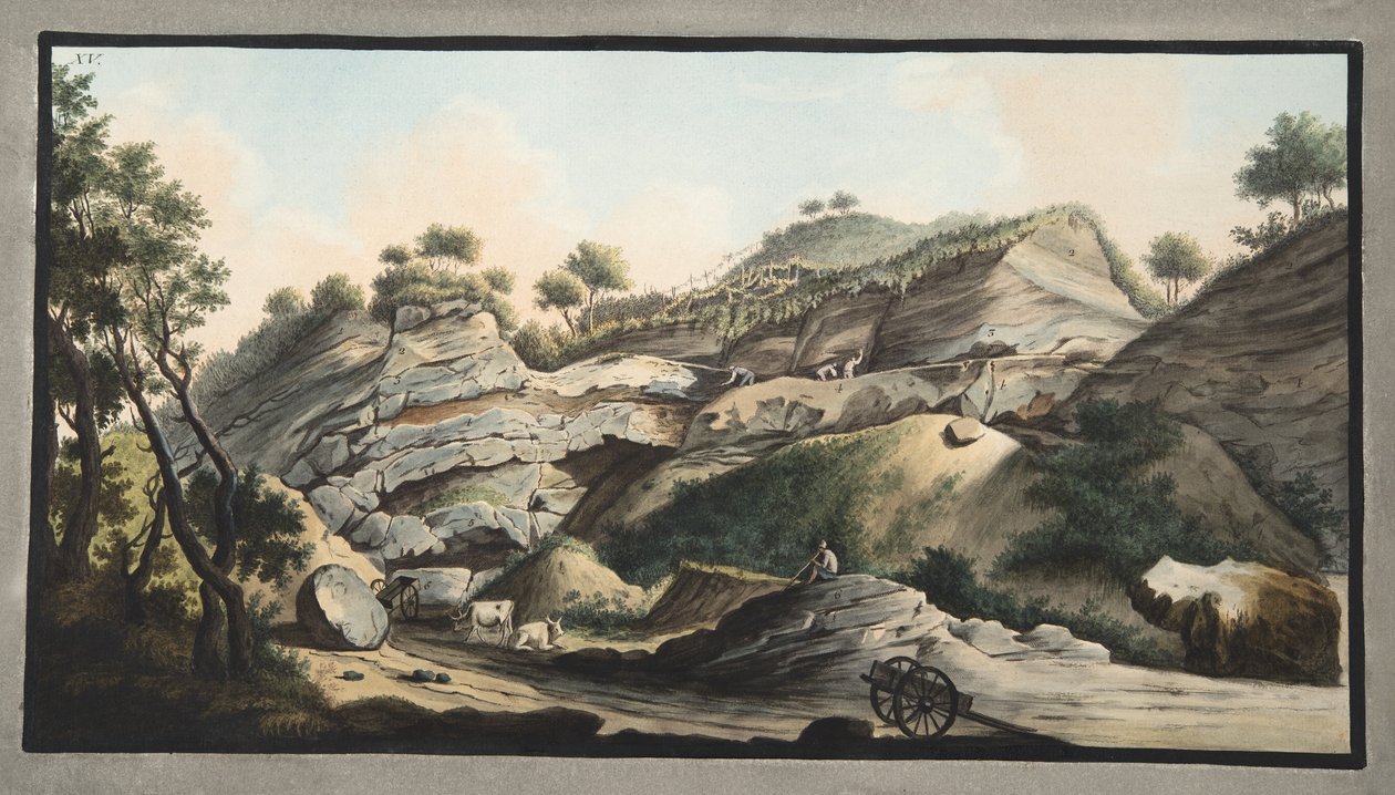 ウィリアムハミルトン卿（1730-1803）による「Campi Phlegrai：Observations of the Volcanoes of the Two Sicilies」のプレート15、ソンマの山の円錐の一部、1776年発行 作： ピエトロファブリス