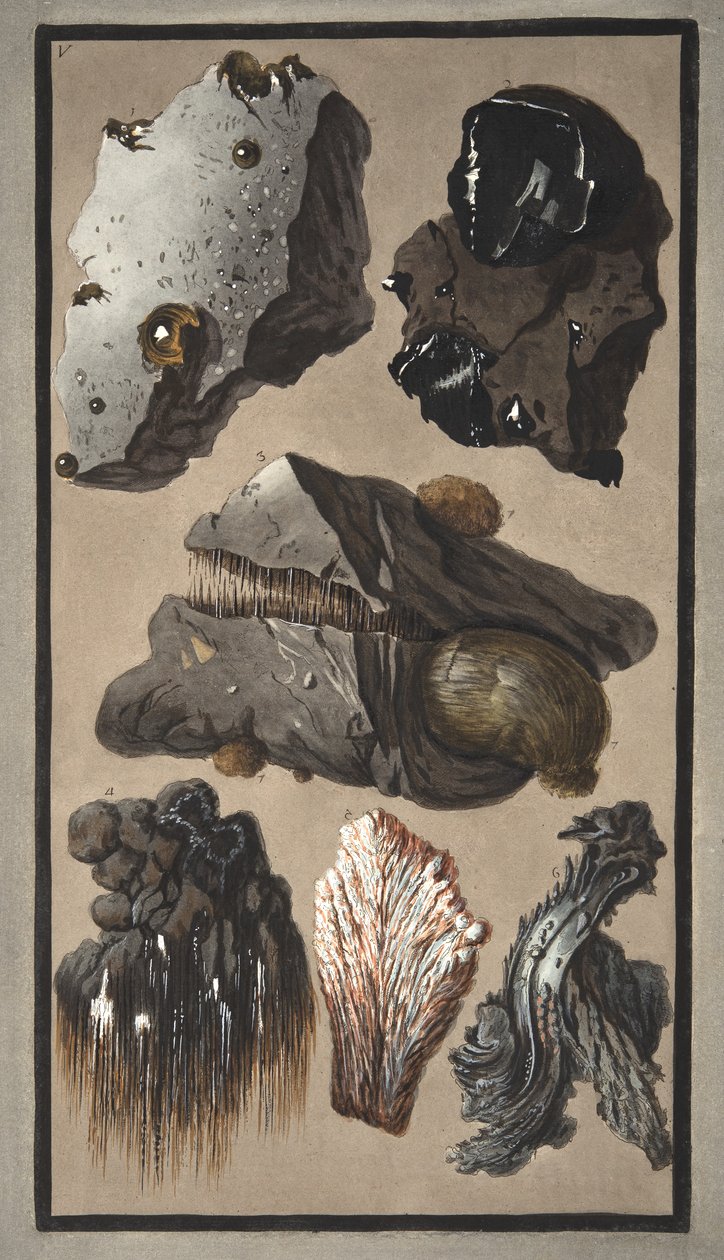ウィリアムハミルトン卿（1730-1803）による「カンピフレグレイ：2つのシチリアの火山に関する観測」からの火山物質の標本、1776年に出版（手書きの彫刻） 作： ピエトロファブリス