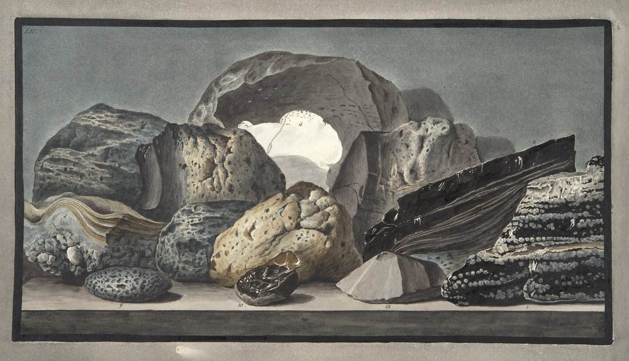 ウィリアムハミルトン卿（1730-1803）による「カンピフレグレイ：2つのシチリアの火山の観察」からのガラス化、およびその他の火山の生産物、プレートLII、1776年発行（手塗り 作： ピエトロファブリス