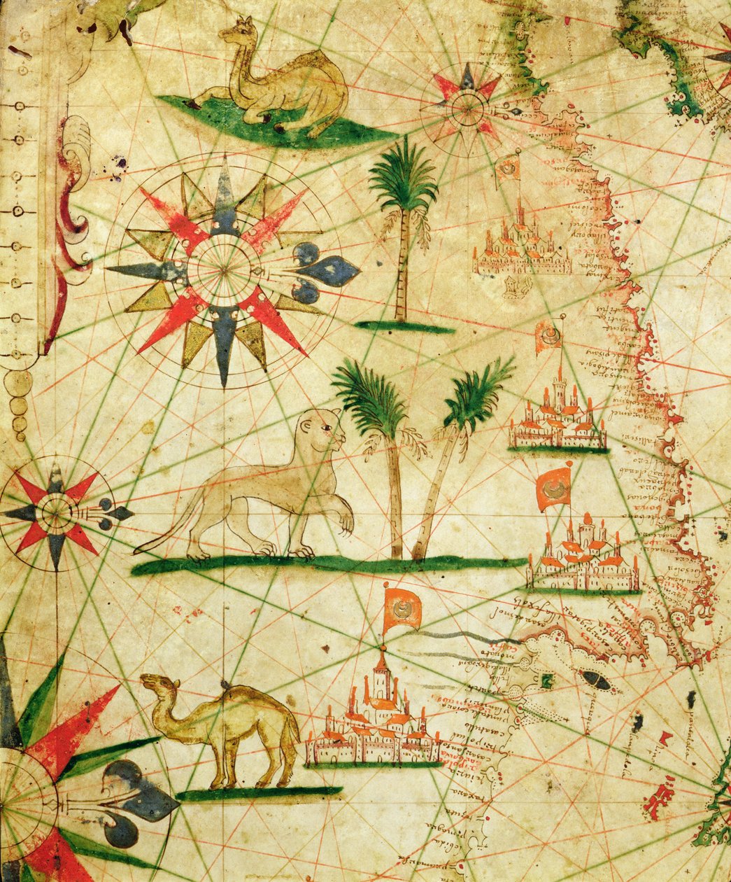 アフリカの北海岸、1651（ベラムのインク）の航海地図から（330922からの詳細） 作： ピエトロ・ジョヴァンニ・プルーン