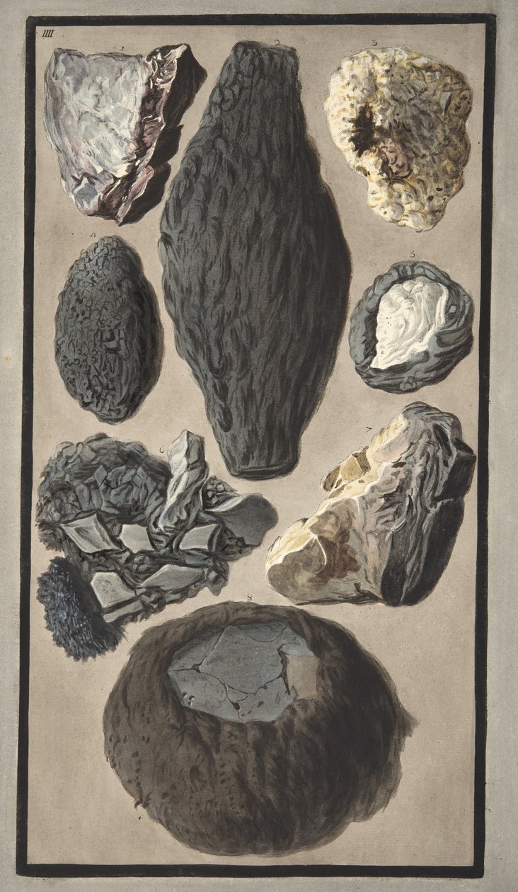 ウィリアムハミルトン卿（1730-1803）による「カンピフレグレイ：2つのシチリアの火山に関する観測」からの火山物質の標本、1776年に出版（手書きの彫刻） 作： ピエトロファブリス