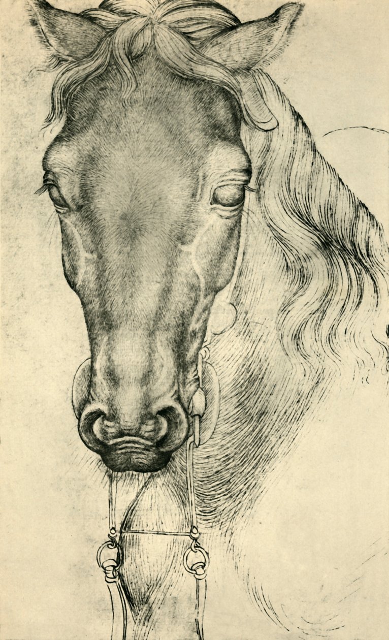 馬の頭、c1420-1455、1943年。 作： アントニオ・ピサネッロ