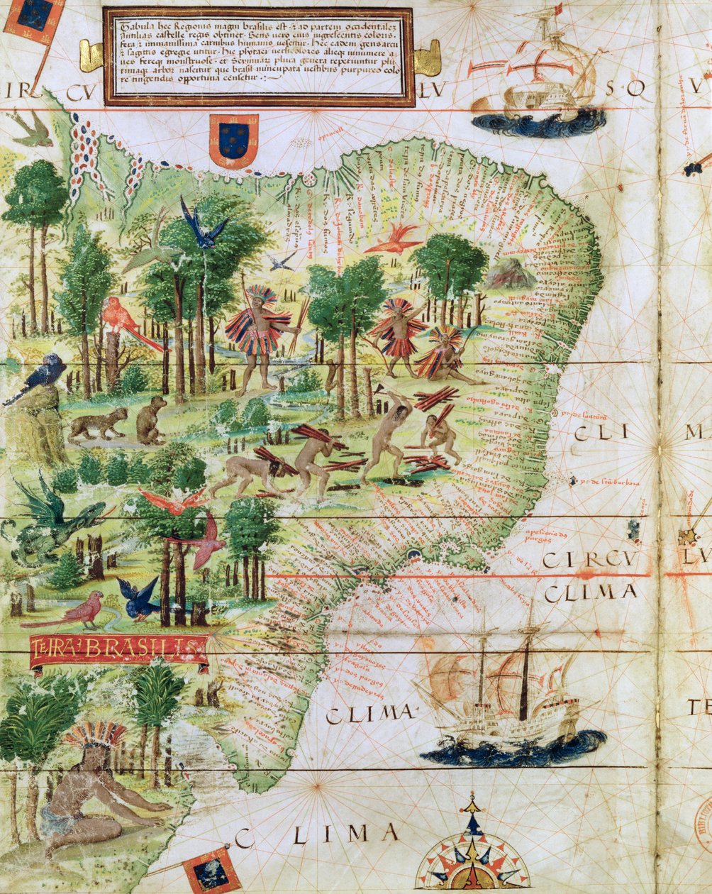 ペドロレイネルによる「ミラーアトラス」からのブラジル、1519年頃（詳細：75615） 作： ポルトガル語学校