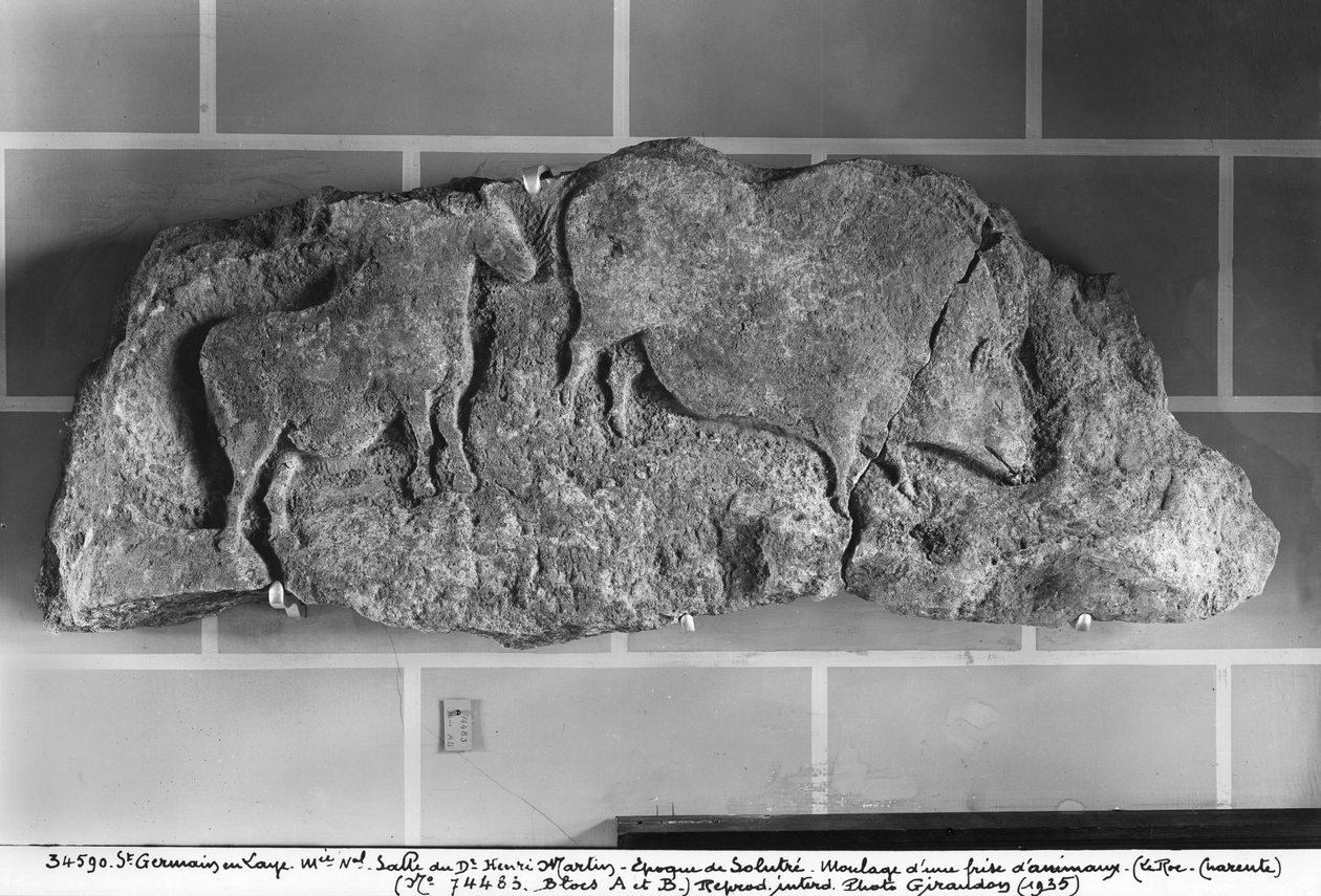 Le Roc de Sers、シャラント、ソルトリアン時代、紀元前20000〜15000年の石膏の動物のフリーズのキャスト（石膏） 作： 先史時代