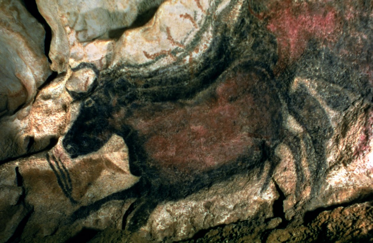 黒い雄牛の岩絵、紀元前17000年頃（洞窟壁画） 作： 先史時代
