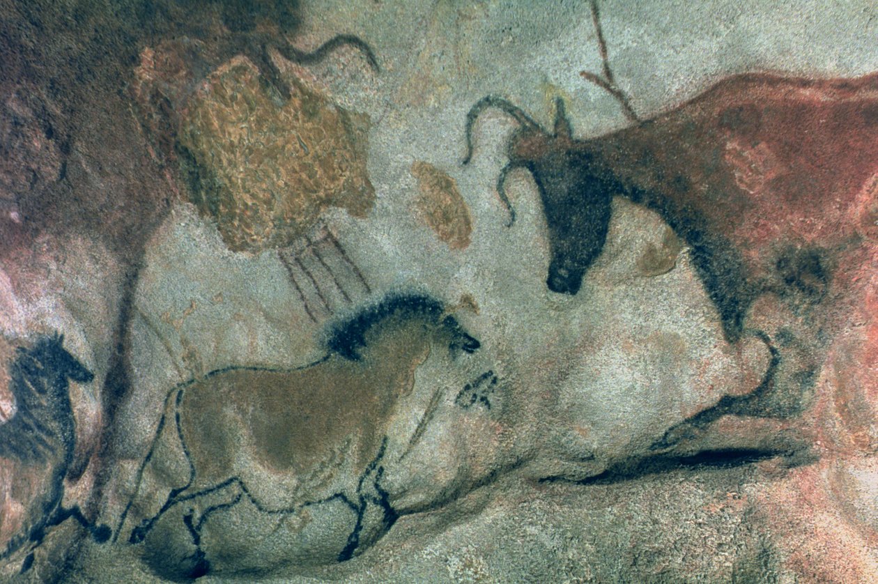 馬と牛を描いた岩絵、紀元前17000年頃（洞窟壁画） 作： 先史時代