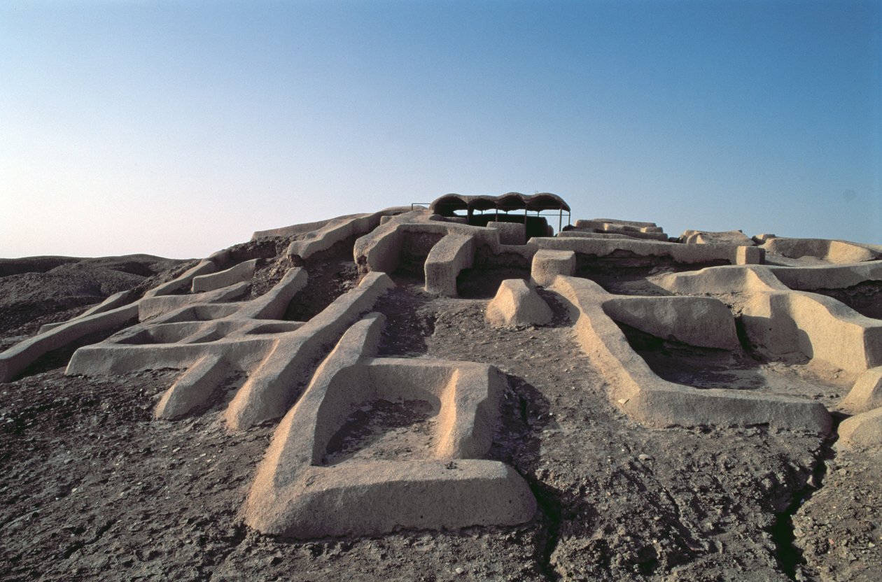 Shahr-e Sukhteh（Burnt City） 作： 先史時代