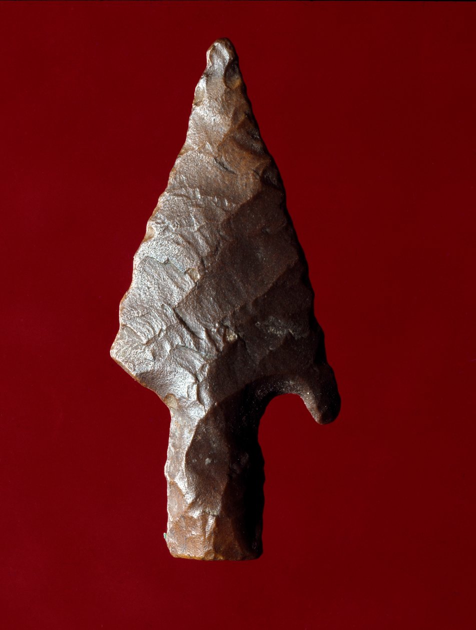 エジプトの古代人：エジプトのファユーム（FayyumまたはFayum）の遺跡から出土した矢の先端。先代の時代。イタリア・ヴェローネ市民自然史博物館蔵 作： 先史時代先史時代