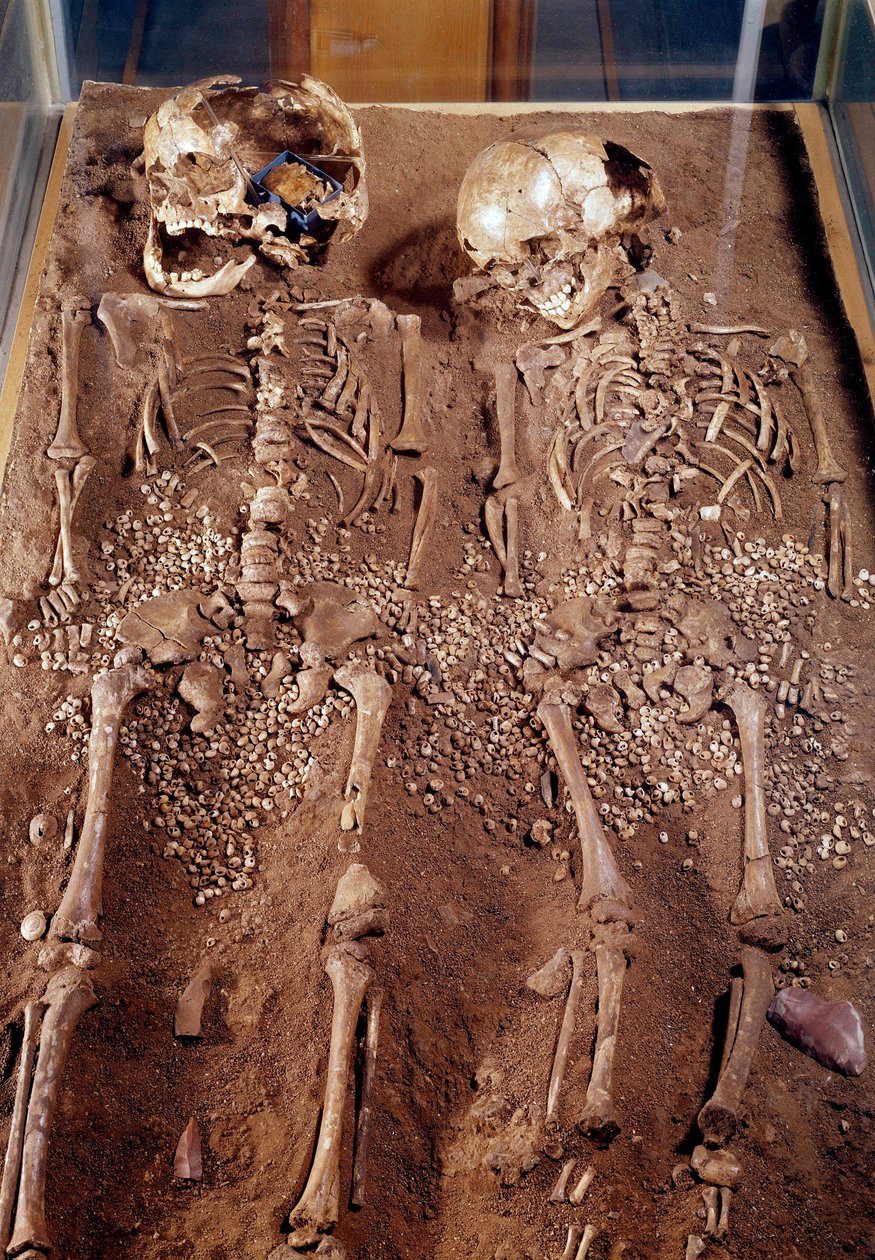 先史時代。二人の子供の骸骨。紀元前30000〜25000年