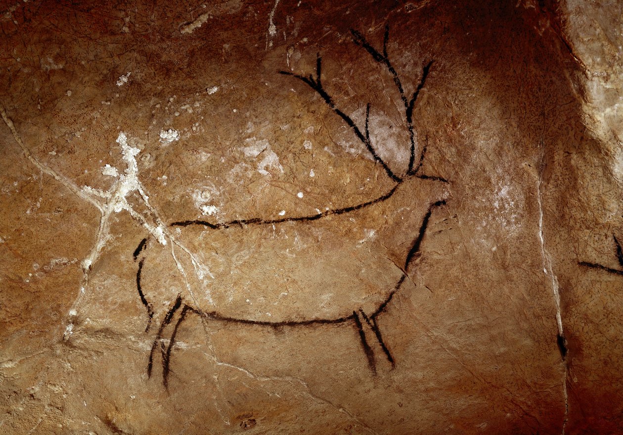 先史時代：鹿。上部旧石器時代の洞窟壁画（マグダレニアン）（16,500年前と14,000年前）。石の時代。ラス・チメニアスの洞窟、モンテ・カスティージョ、スペイン 作： 先史時代先史時代