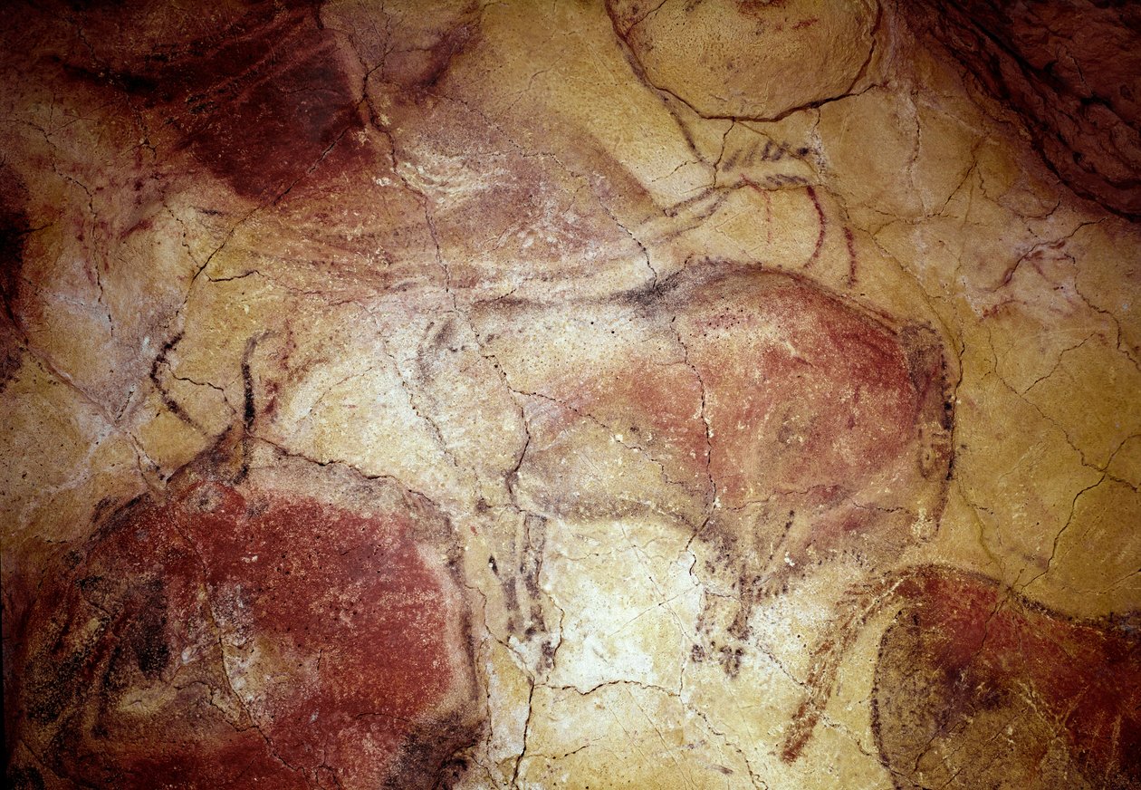 先史時代。上部旧石器時代（マグダレニアン）（16500～14000年前）の石器時代バイソン洞窟（スペイン、サンタンデール州アルタミラ）の岩絵「休息中のバイソン」。 作： 先史時代先史時代