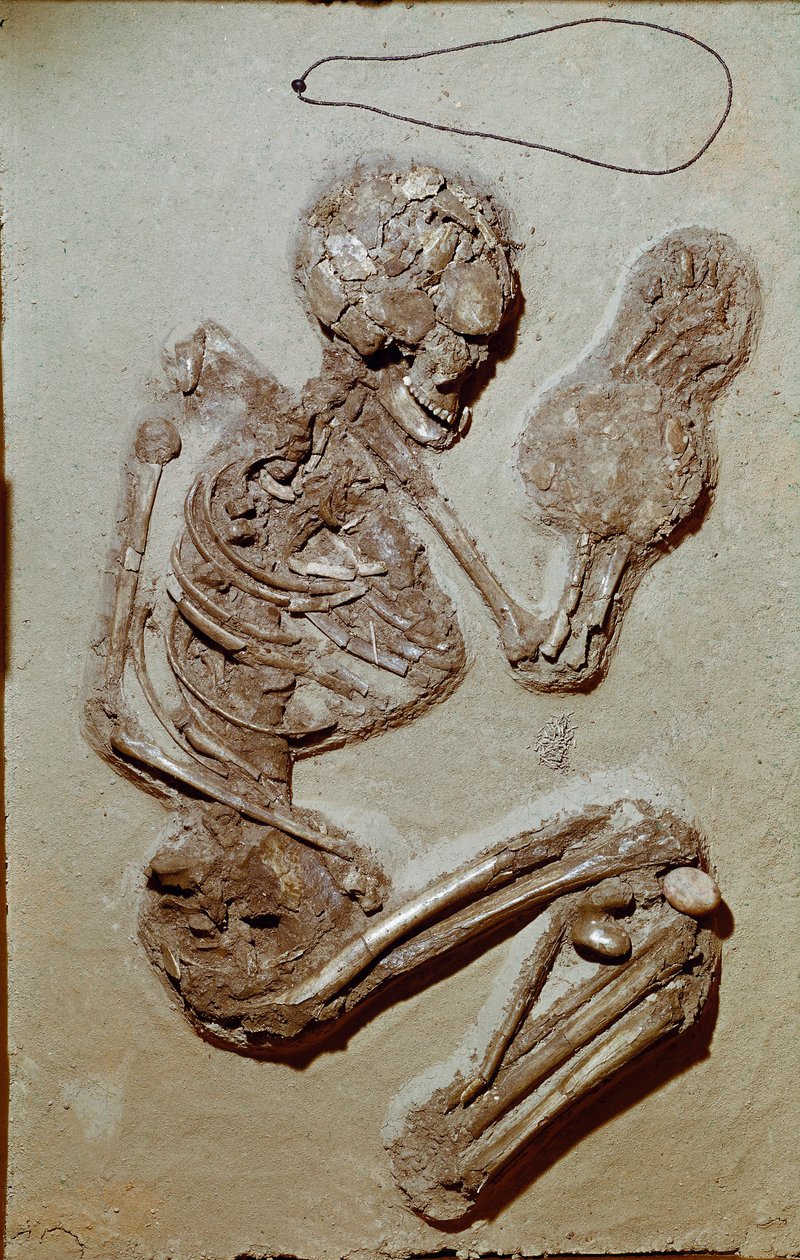 先史時代：上部新石器時代の女性骨格。キオッツァの文化。紀元前2900〜2700年。イタリア、レッジョ・エミリア、Musei Civici、Museo Chierici 作： 先史時代先史時代