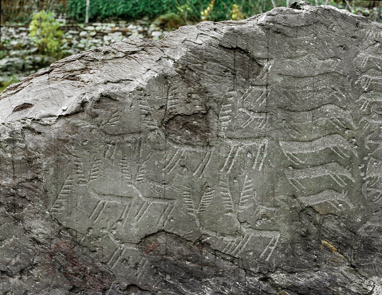 先史時代、ロックアート：鹿や牛を表現した墓石。銅器時代。新石器時代（chalcolithic）。ロッシュn．Cemmo (Brescia) Parco archeologico nazionale dei Massi di Cemmo, Italy 作： 先史時代先史時代